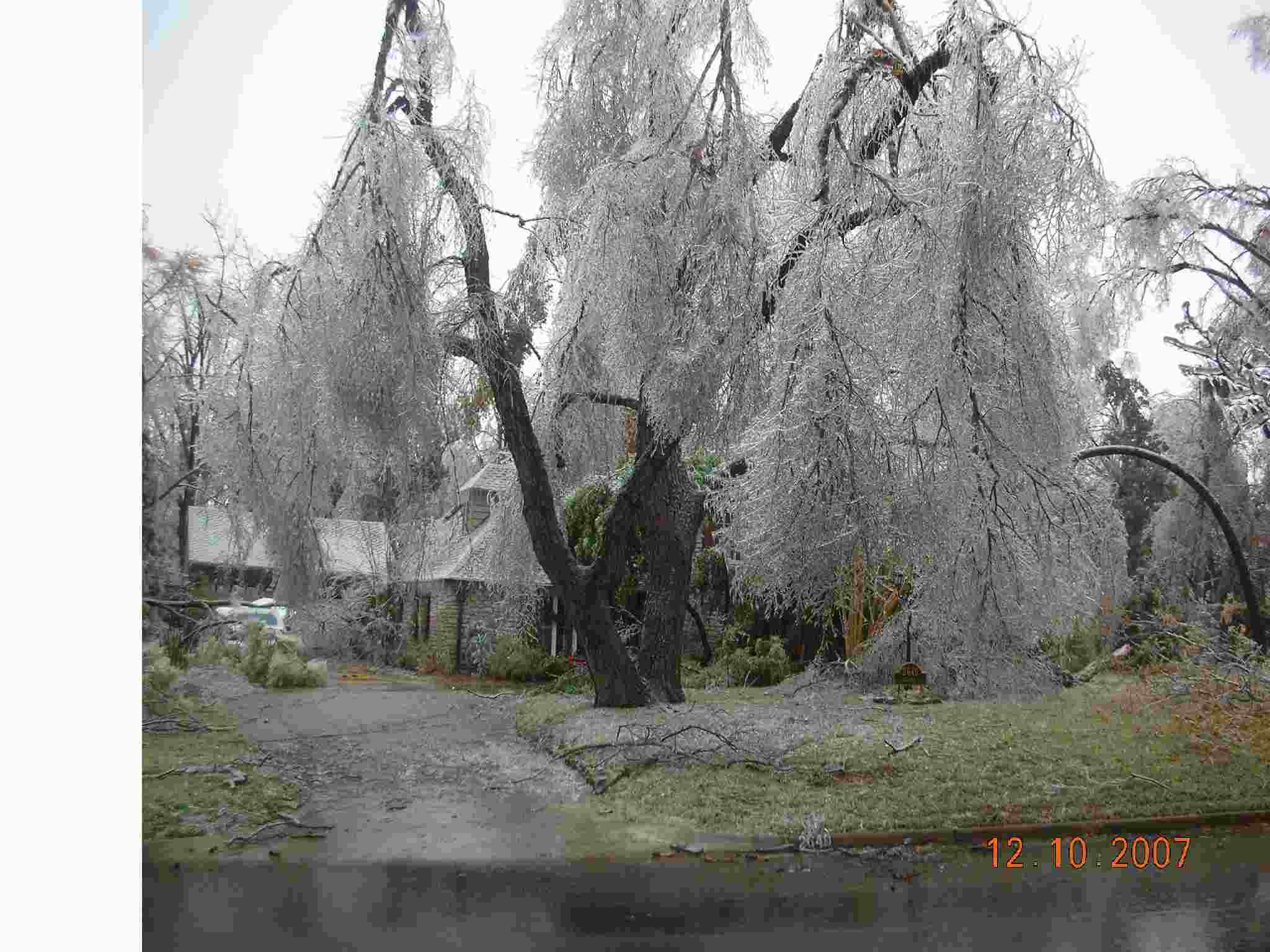 After the ice storm in Tulsa